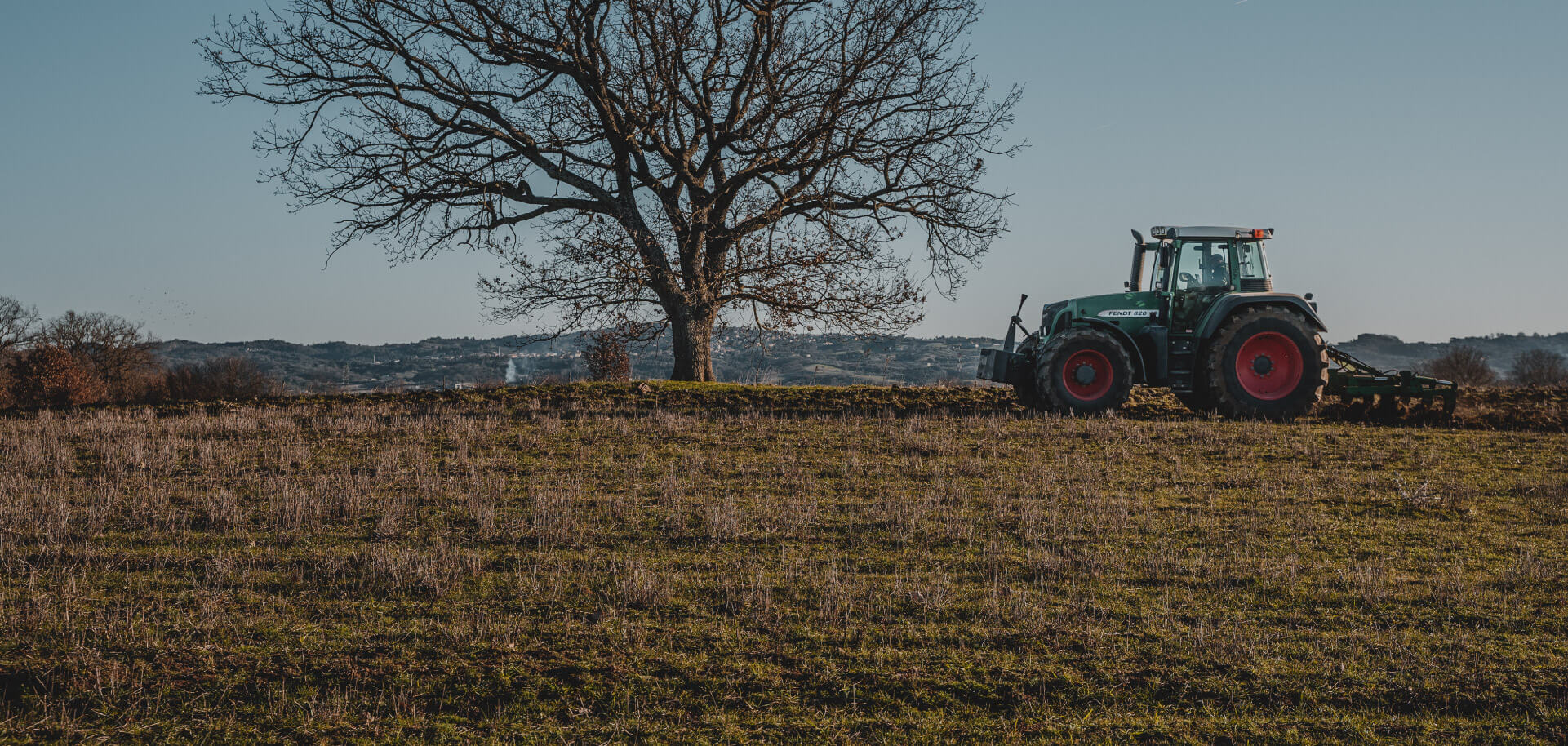 custodire e innovare azienda agricola sansoni 2